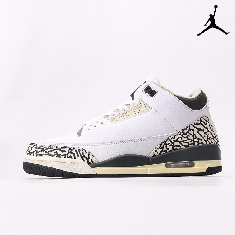 Air Jordan 3 Retro GS 'Hide N' Sneak' DX6665-100