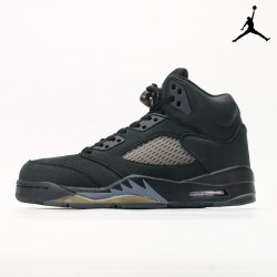 Air Jordan 5 FZ2239-001