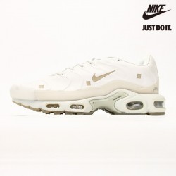 Nike A-Cold-Wall* x Nike Air Max Plus 'Platinum Tint' FD7855-002