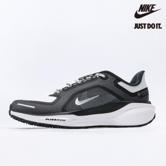 Nike Air Zoom Pegasus 41 GORE-TEX 'Iron Grey Summit White'