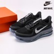 Nike Pegasus Premium 'Anthracite' HQ2592-006